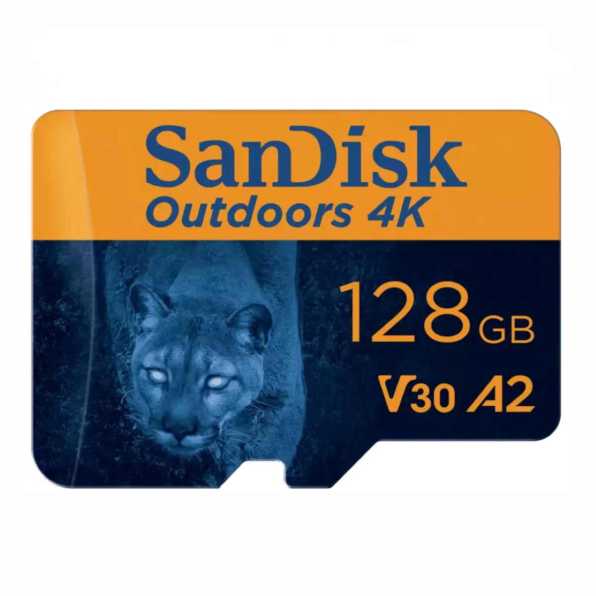 SanDisk Outdoors 4K 128GB MicroSD Memory Card